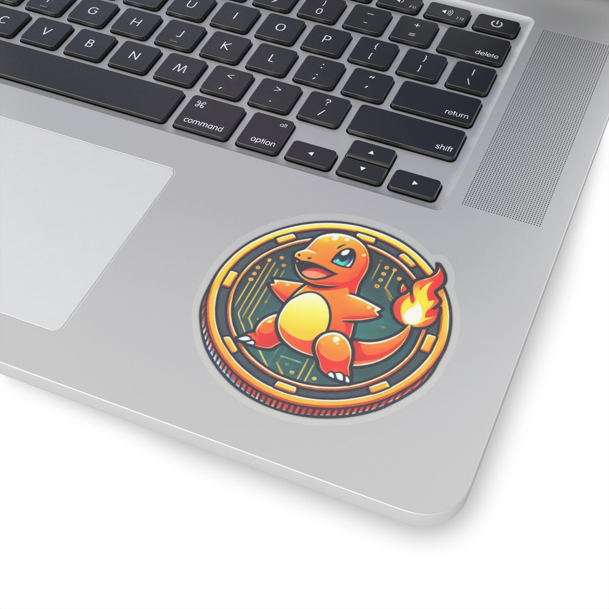 Char Coin