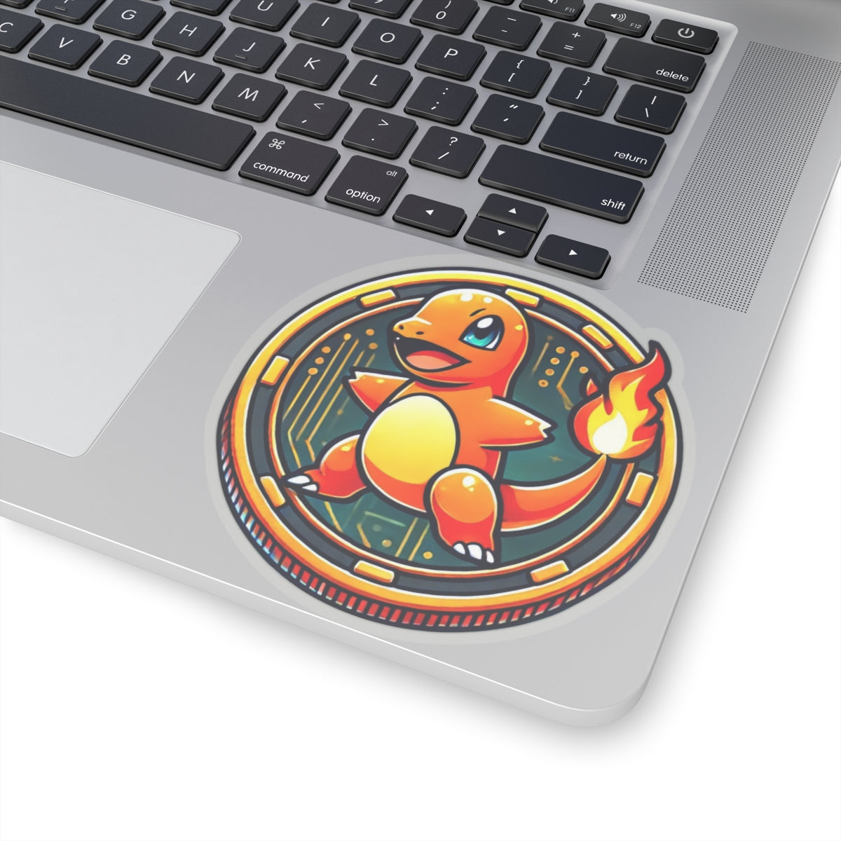 Char Coin