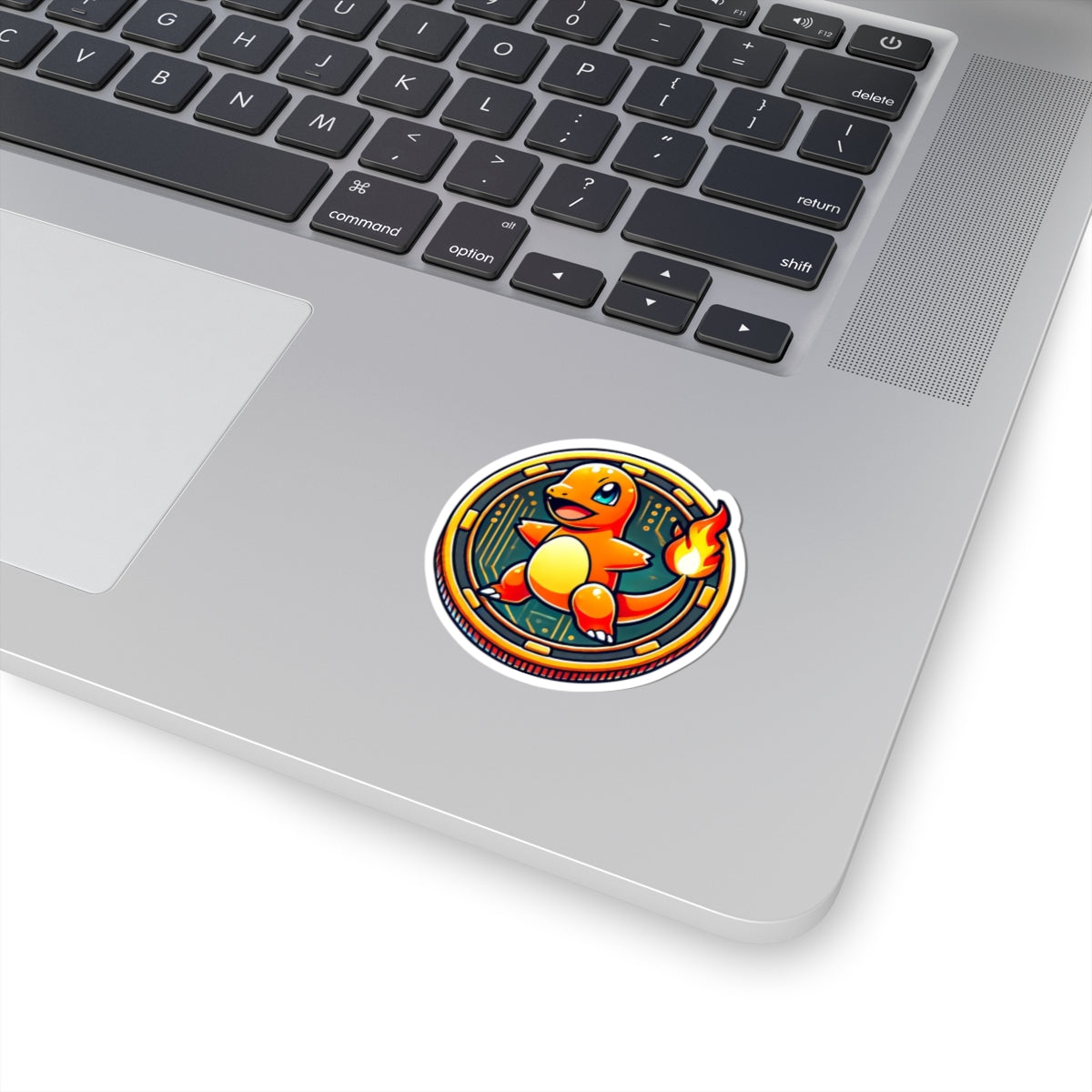 Char Coin